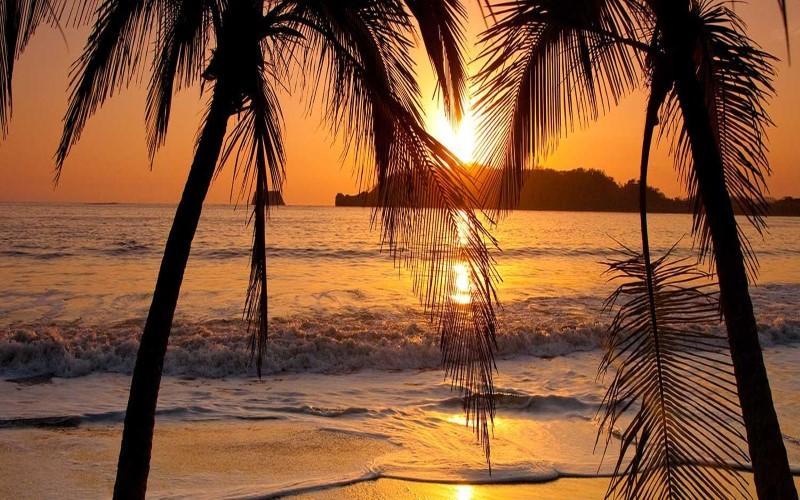 Hotel La Gaviota Tropical ปลายาเฮอร์โมซา ภายนอก รูปภาพ